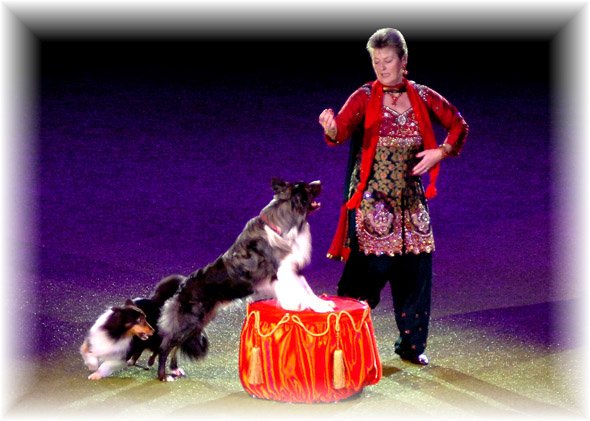 Mary Ray in the main ring, Crufts 2011