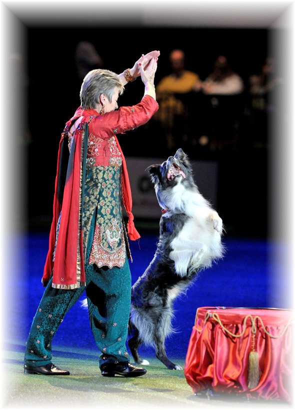 Mary Ray in the main ring, Crufts 2011